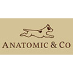 Anatomic Shoes