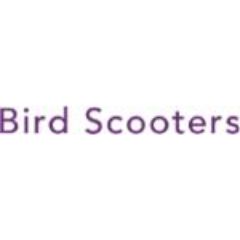 Bird Scooters