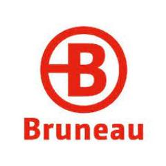 Bruneau ES