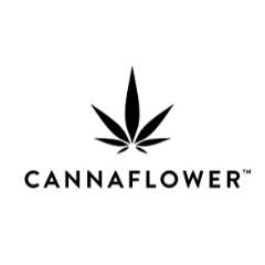 Canna Flower US