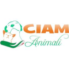 CIAM IT