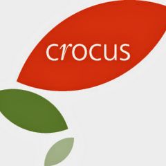 Crocus