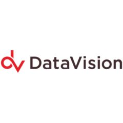 Data Vision