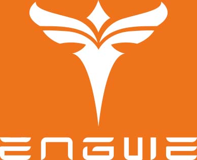 Engwe Discount Codes