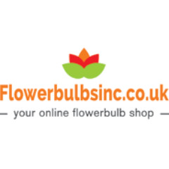 flower bulbs
