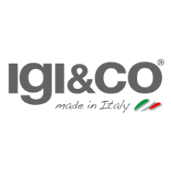 IGI And CO IT