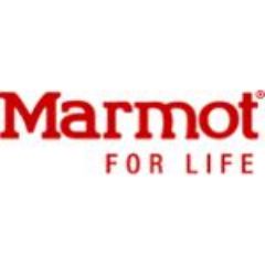 Marmot