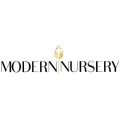 Modern Nursery
