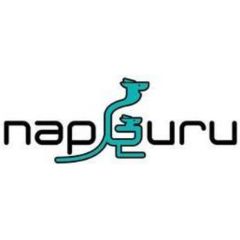 Nap Guru