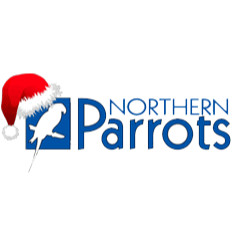 northern parrots