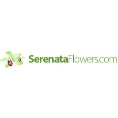 serenata flowers