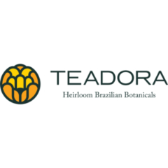 Teadora