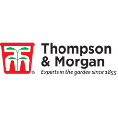 thompson & morgan