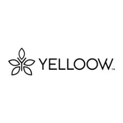 Yelloow Beauty